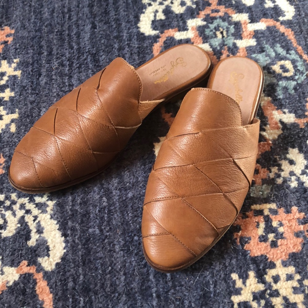 Seychelles mules
